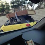 [드루와] <b>체육대회때</b> 플카만들어?