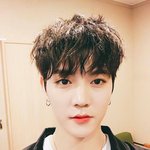 여기에 뉴이스트 팬 있어?