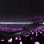 [방탄소년단] 방탄이들과 이삐들 모두!!