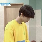 [프로듀스] 병아리 <b>배진영</b>