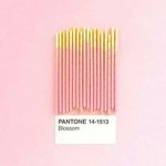 [댓글부탁해] 얘들아 범성애랑 양성애 차이점이 뭐임