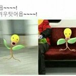 [ㄹㅇ] <b>투표율</b> 생각보다 낮네