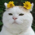 [드루와] <b>고등학생</b> 다이어트 같이 할 사람!!