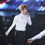 [EXO] 애끼는 애기<b>사자</b> 모음