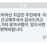 주인찾아주었는데 오해받은거같아 <b>속상</b>합니다     (안성, 고터,...