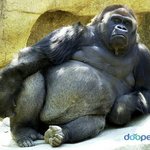 얘들아 나 패션블로거할껀데 조언 해주라