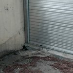 [ㅋㅋ] 너희 <b>까치</b>한테 맞아봤냐...?