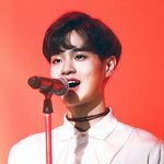 [프로듀스] 나는 팬블로그나 해야지