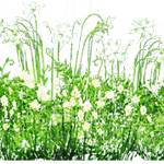 [EXO] <b>홍준표</b> 찍었으면