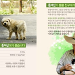 새 대통령님께 기대합니다