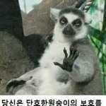 각각 거울마다 내 얼굴이 달라져서 <b>당황</b>스러움...