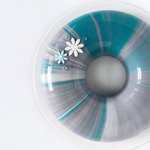 미끄러질 듯 반들거리는 무스<b>케익</b>