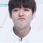 [프듀2] 근데 1픽할 때 박지훈 <b>투표</b>하는거