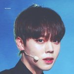 [프로듀스] 박지훈 아이돌되면 내 <b>기준</b> 아이돌 <b>외모</b> 탑5