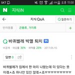 [바퀴망해라] 와 나 <b>쉬바</b> 울집에 바퀴벌레 나왔다