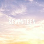 [세븐틴] 캐러들 자랑스러워하자