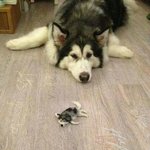 쎄 보이는 <b>화장</b> 할 <b>때</b>