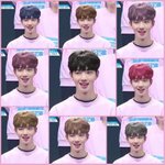 [<b>학</b>윙영큡즈] 나 알파카 픽 아닐<b>때</b> 이거 보고 픽함