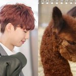 [프듀2] 프듀 자기 고정픽 칭찬이나 영업하고 가자~!!