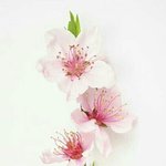 [조언부탁해] 나 중학교 3학년인데 한달<b>용돈</b> 2만원이야