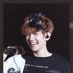 오구오구 부르는 똥강아지돌 ㅠㅠ
