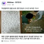 [드루와] <b>광양</b> 고양이 불태운 사건 결말