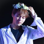 [시우민] ** 연검 정화 **