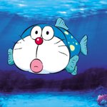 [드루와] 많이혐)초등학교 6학년때 했던 특수분장들