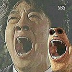 시1발 나 <b>비둘기</b>밟았다
