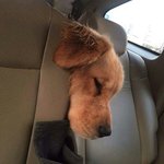 부모님 <b>나이</b> 다들 어느<b>정도</b> 되셔?