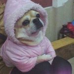 미성년자가 <b>술</b> 먹는거 어떻게 <b>생각</b>해?