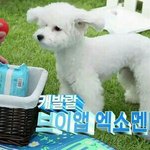 [댓글부탁해] 너네 남자애들 <b>말투</b> 어떰