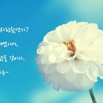 시. 발 개짜증나