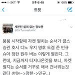 [세븐틴] 어 미친 이건 뭐야