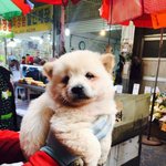 <b>농협</b> 은행 오늘 문 안 열어?