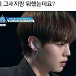 [프듀2] <b>매주</b> 까이는 연습생들 너무 안쓰러워