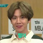 [EXO] 우리 조카 <b>화창</b>한데...?