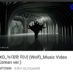 [EXO] 늑대와 <b>미녀</b> 뮤비❤
