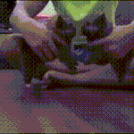 올리브영 페리<b>페라</b>