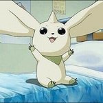 댄동 이름 <b>정해</b>줘 ! [센스있게