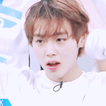 박지훈 <b>투표</b> <b>추반</b>해보자