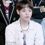 [프로듀스] 근데 진짜 박지훈은 잘예쁨의 <b>정석인</b>거같음