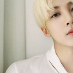 [세븐틴] ㅅㄷ <b>이쯤</b>되면
