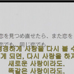[혼자하는말] 이별후 배운것들