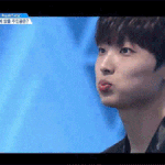 [프듀2] 프듀 닮은꼴을 털자