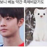 [프로듀스] 배놈 이 짤 원본 있는 사람??