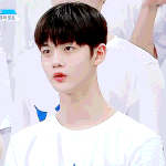 [프듀2] 아주 짧은 배진영 영업글