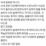 내일12시가 20도인데 하복<b>무리</b>?