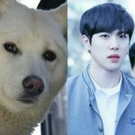 [김동한] 이<b>와중</b>에 김동한 진돗개상ㅋㅋㅋㅋ