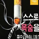 [댓글부탁해] 나 <b>금연</b> 포스터/그림 골라주라